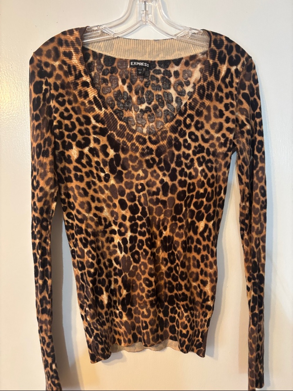Express Leopard Print V-Neck Sweater in Brown and Black